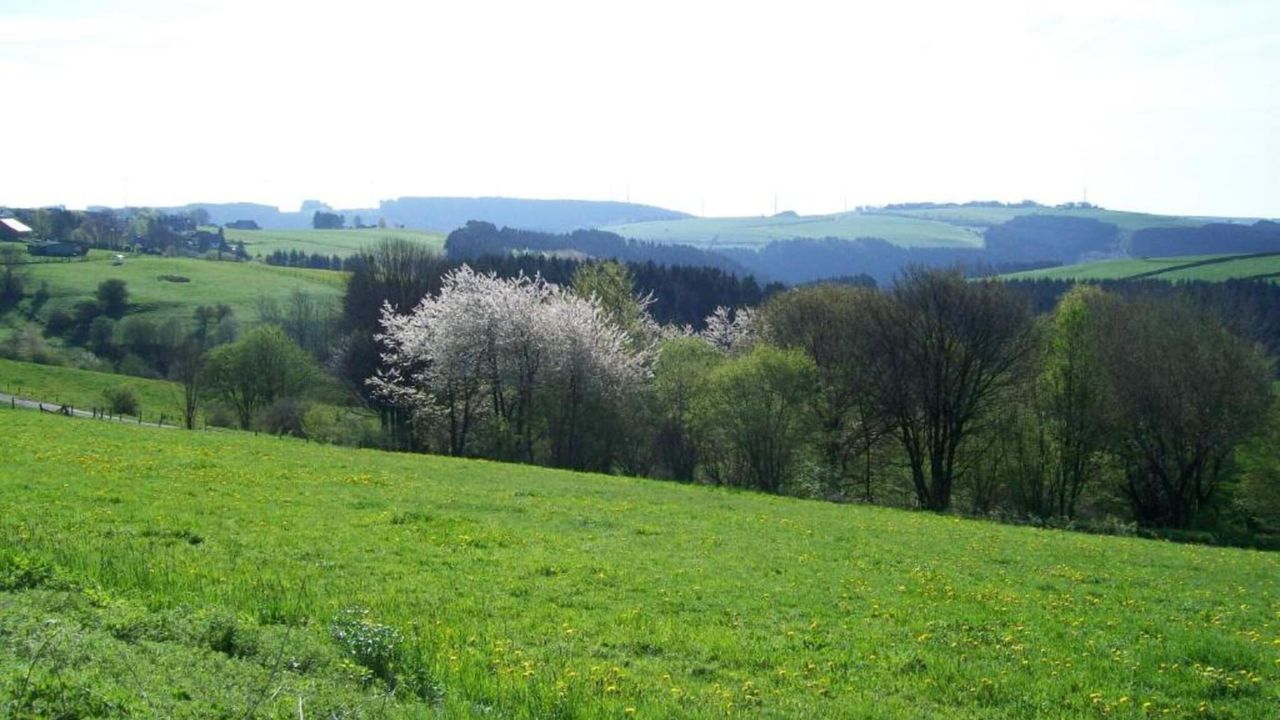 AreaSummer20KM AreaSummer20KM